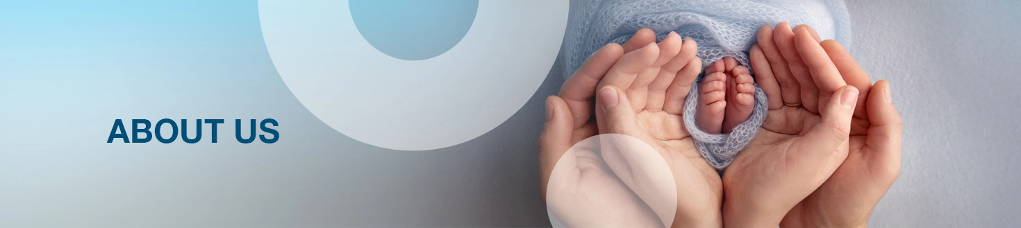 Bnoon about us page banner