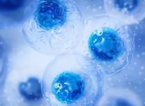 تجميد البويضات