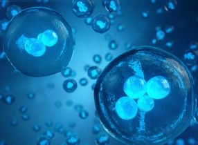 تجميد الأجنة 