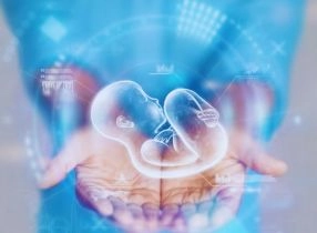 التوازن الأسري - جنس المولود 