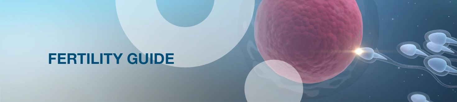 Bnoon fertility guide page banner