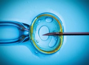   (ICSI) الحقن المجهري