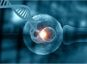   (PGS) الفحص الوراثي للأجنة