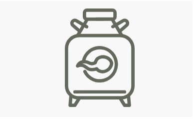 إنضاج البويضات في المختبر