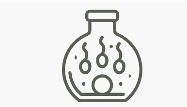 التلقيح داخل الرحم