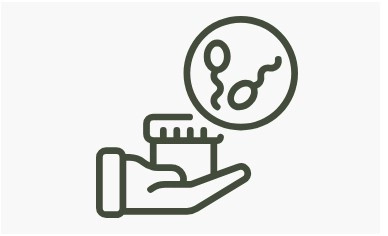 التخصيب في المختبر (IVF)