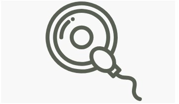 النضج في المختبر (IVM)