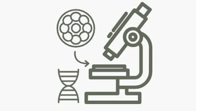 الحقن المجهري