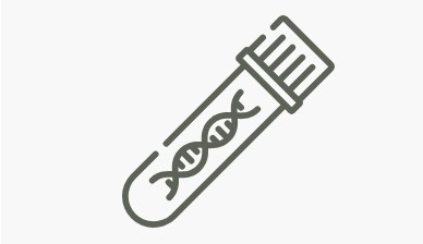 تحديد جنس الجنين